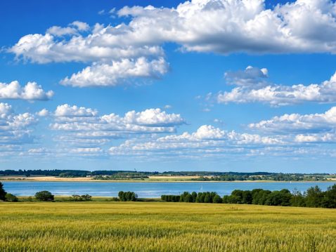 Person-Centred Counselling in Kirby Cross with countryside views overlooking the Essex coastline